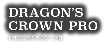 DRAGON'S CROWN PRO ドラゴンズクラウン・プロ